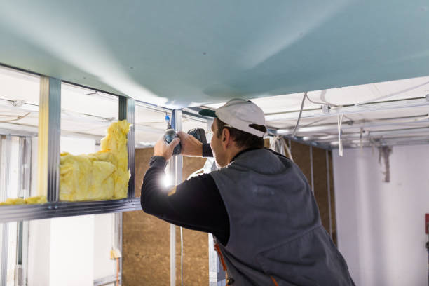 Best Cellulose Insulation in Southport, NC